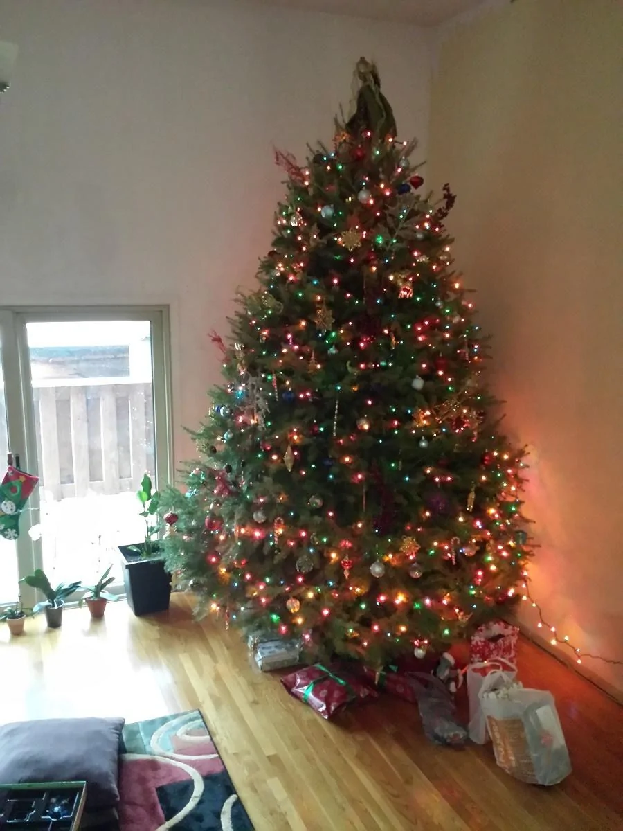 xmas tree.webp