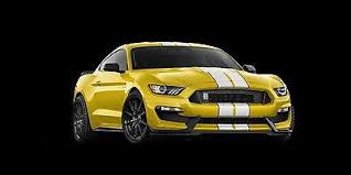 yellowwhite.jpg
