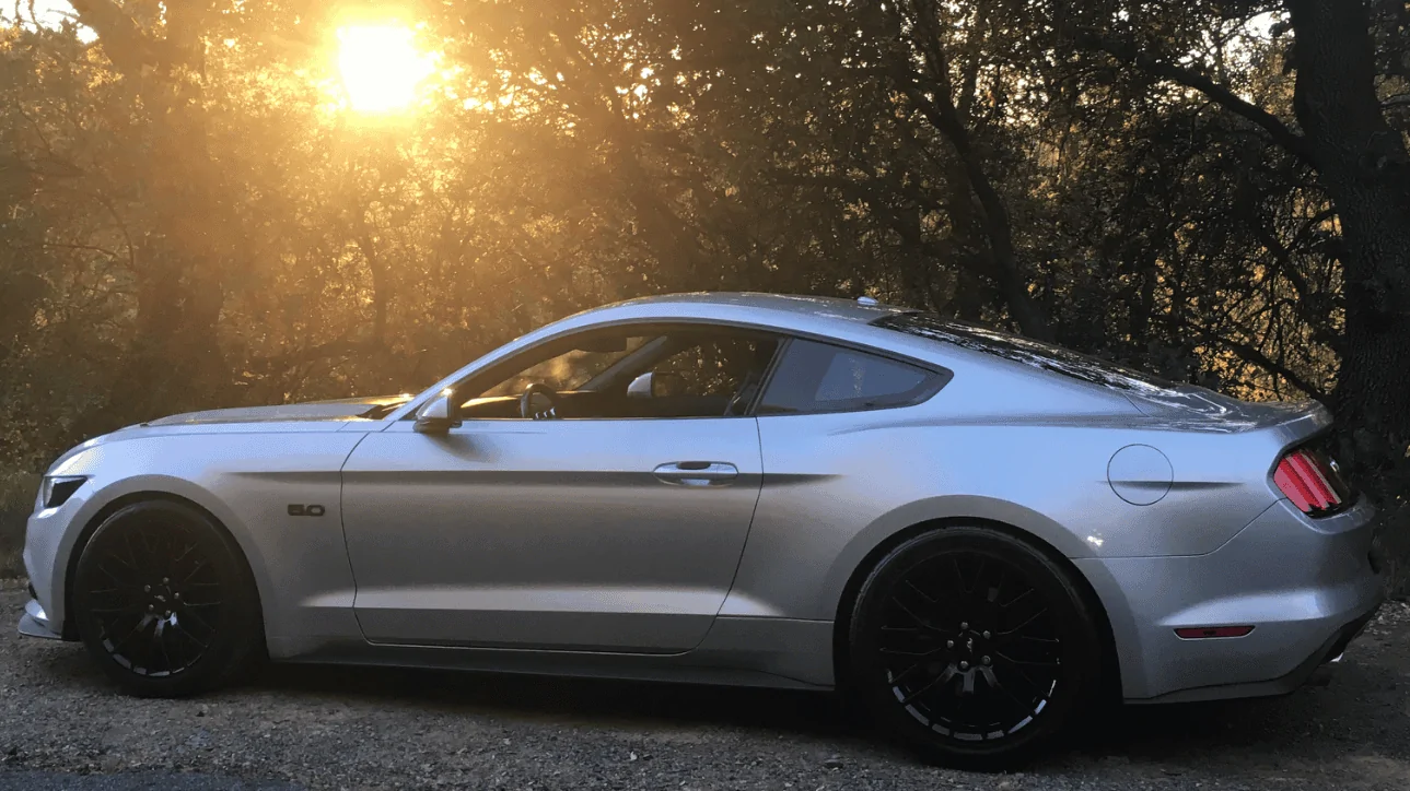 Stang Sunset Trail.webp