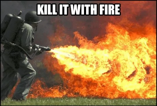 KILL IT WITH FIRE.webp