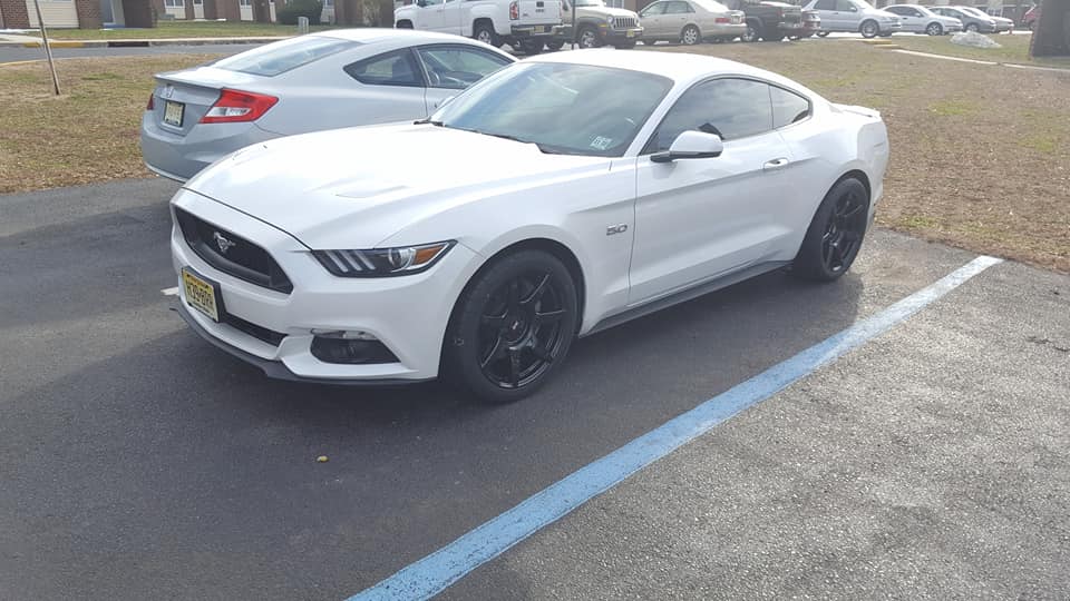 mustang.jpg