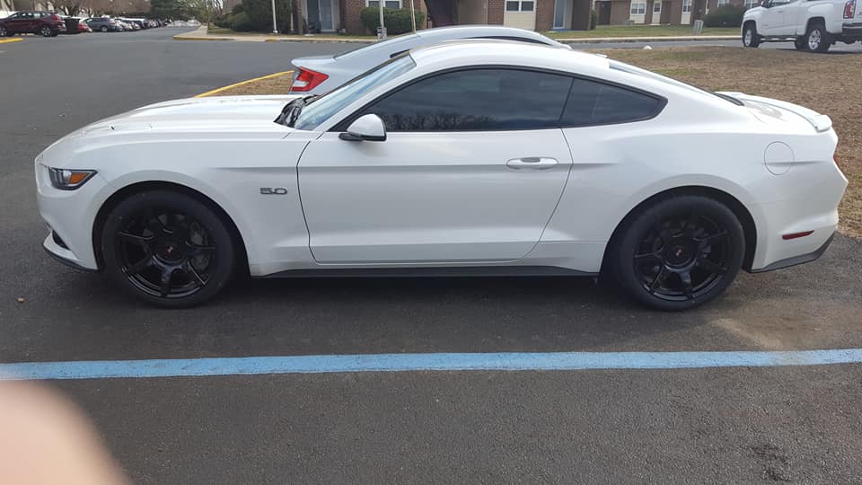 mustang 2.jpg