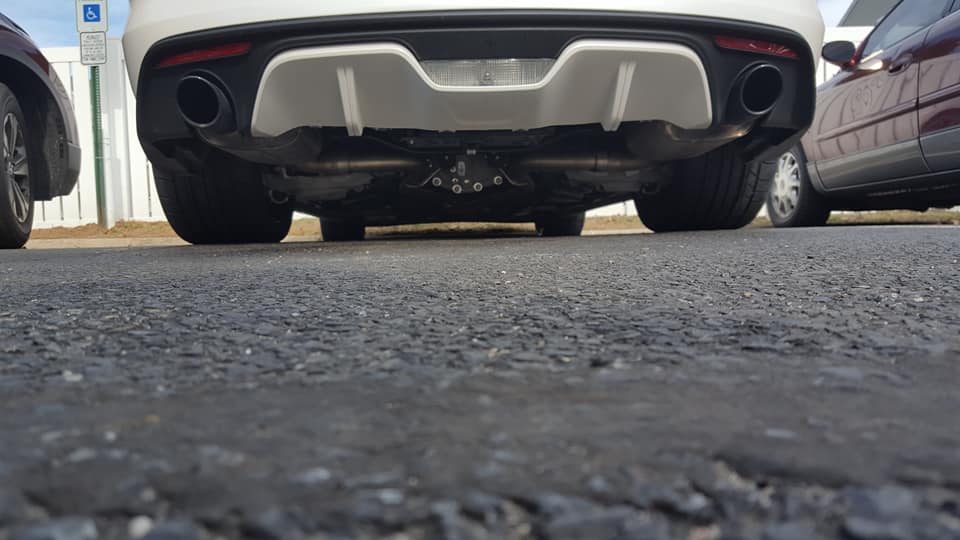 mustang 3.jpg