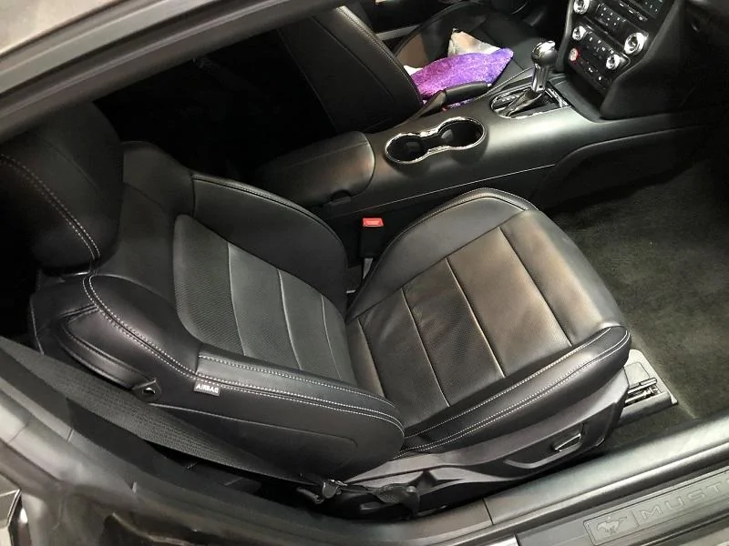 Premium Leather Seat in Base Mustang (2).webp