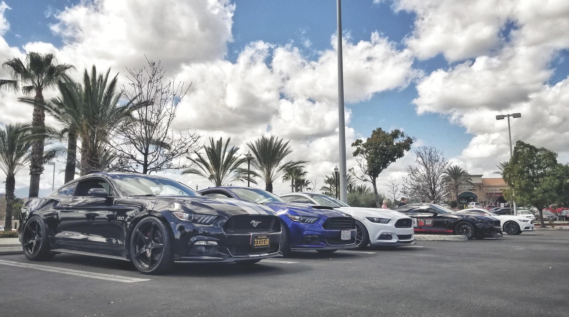 20180324_120715-01.jpg