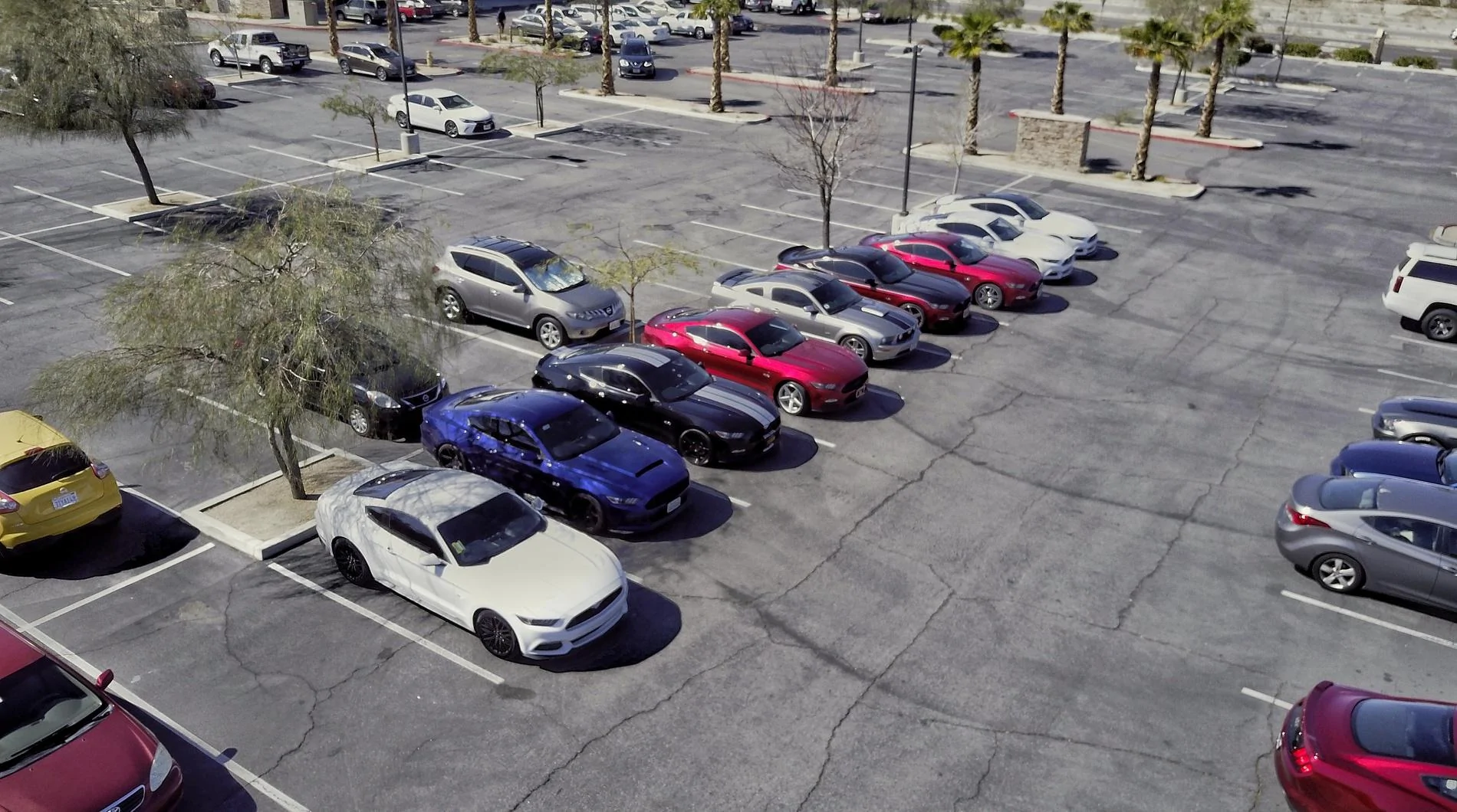 DJI_0034-01.webp