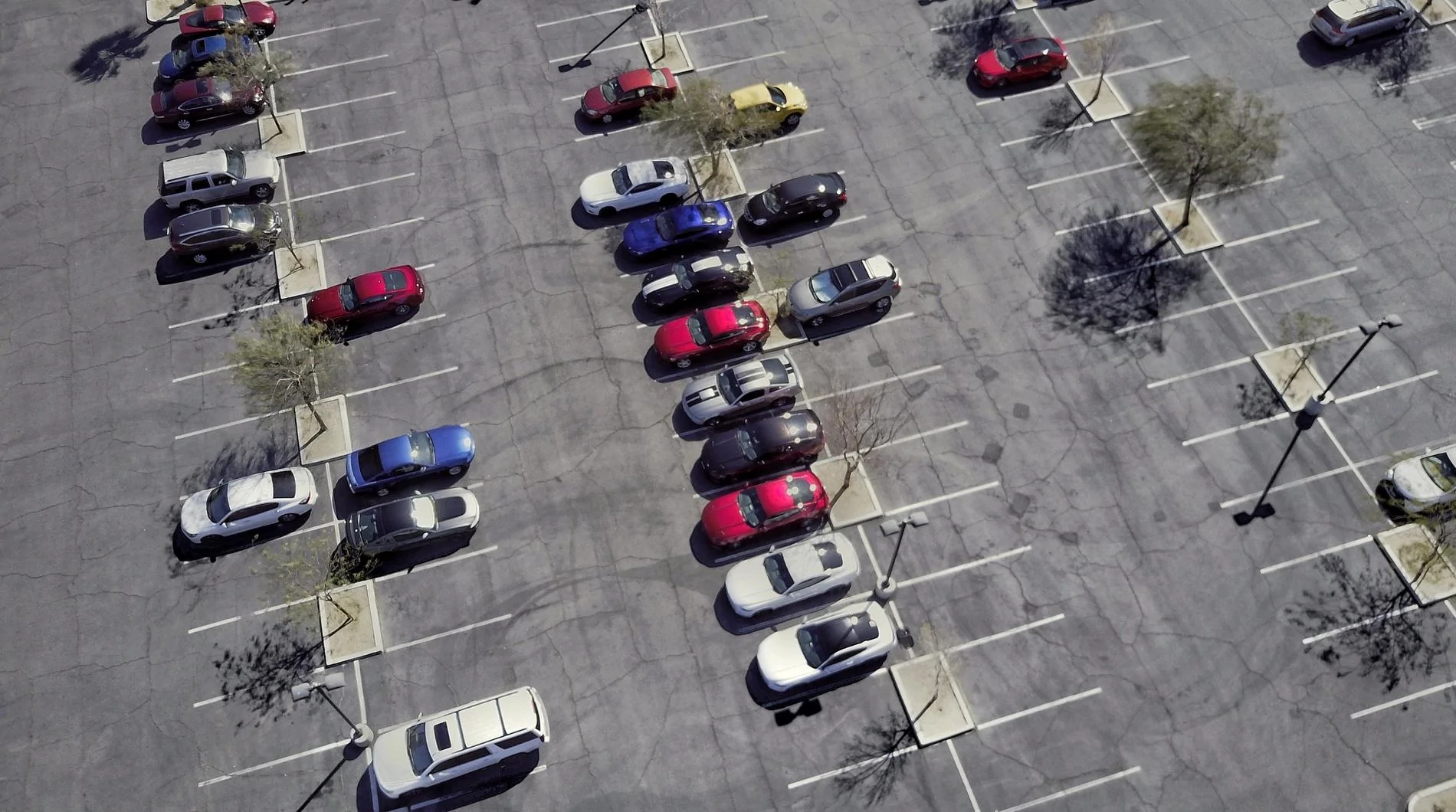 DJI_0041-01.webp
