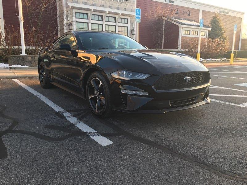 Mustang.jpg