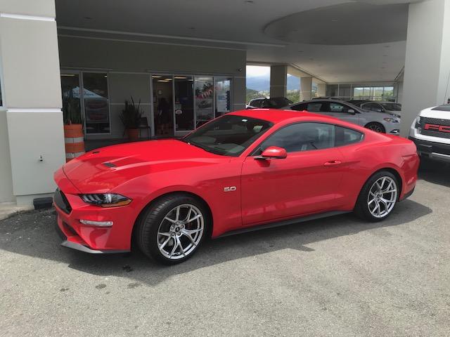 2018 GT DEL 2.jpg