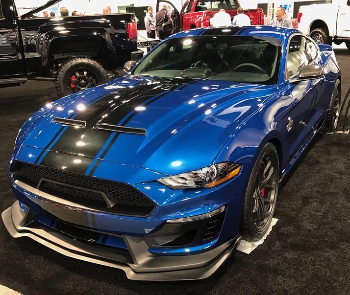 2018 Super Snake normal body 2 (2).jpg