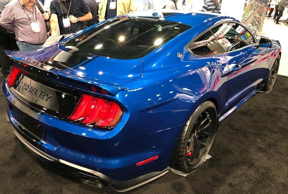 2018 Super Snake normal body 4 (2).jpg