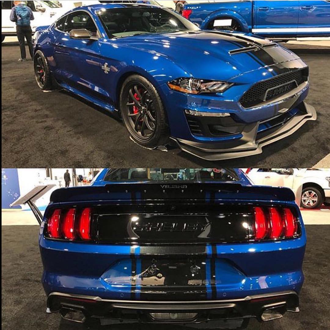 unknown mustang.jpg