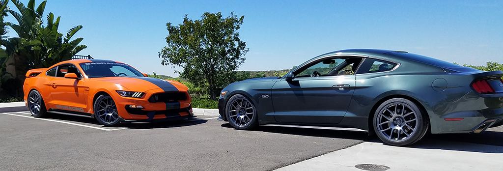 S550_GT350_Noses.jpg