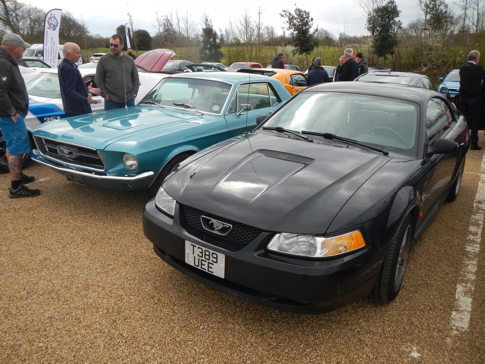 DSCN1978.jpg