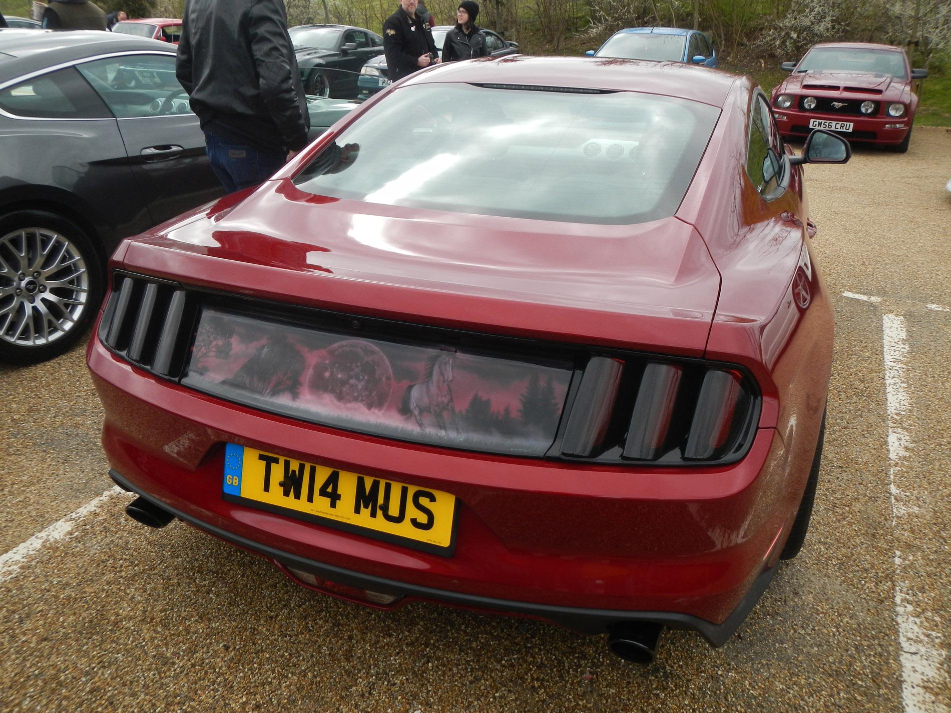 DSCN1979.jpg