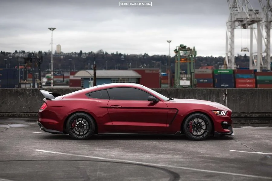 side profile.webp