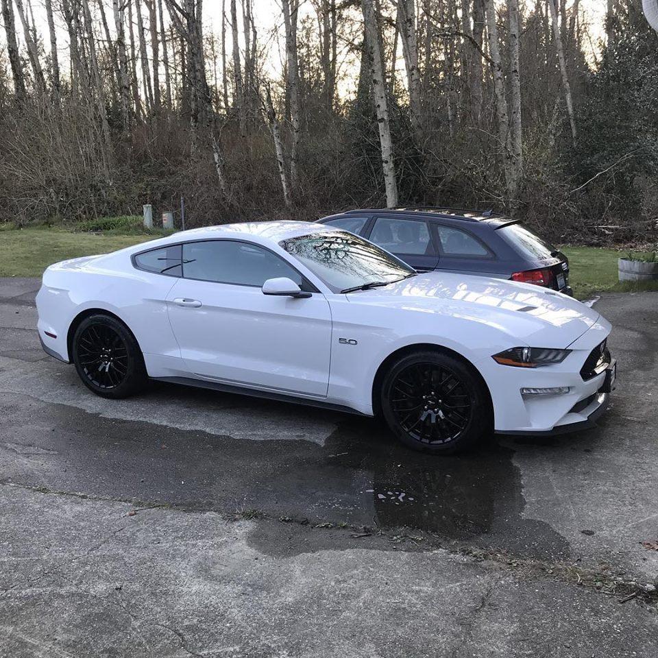Mustang.jpg