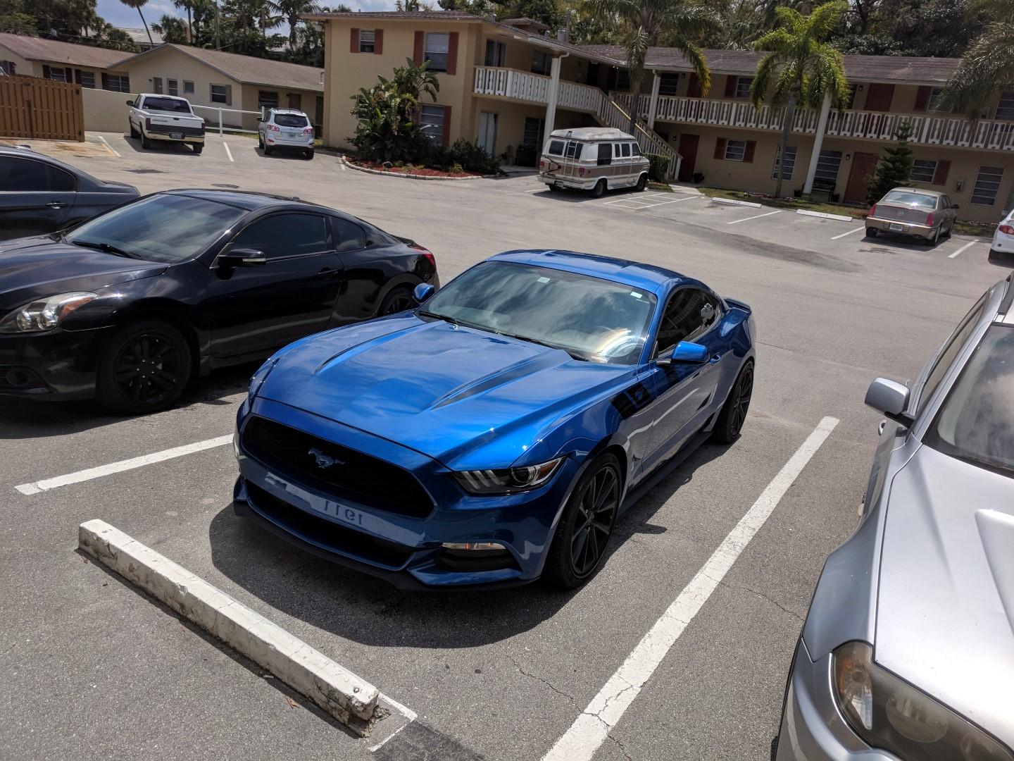 IMG_20180408_131057.jpg