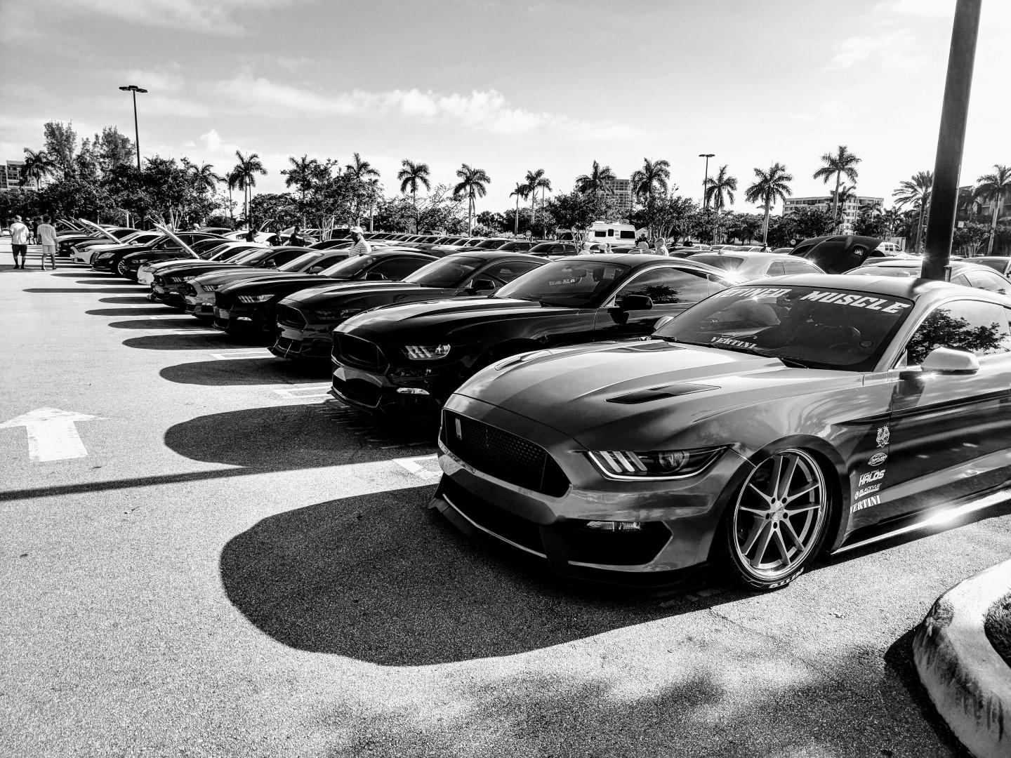 IMG_20180408_092252-EFFECTS.jpg