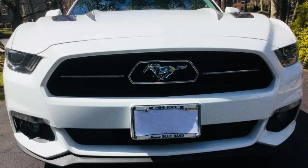 Pony Grill.webp