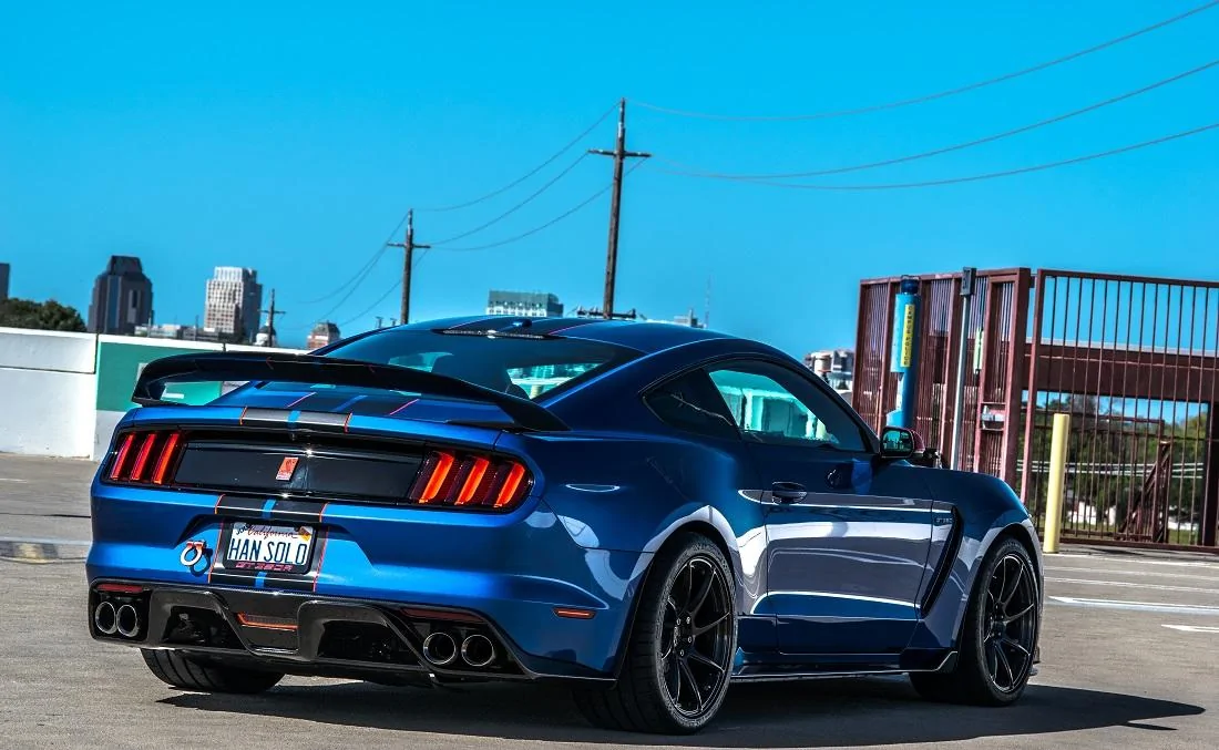 Full Carbon GT350R (3 of 7).webp