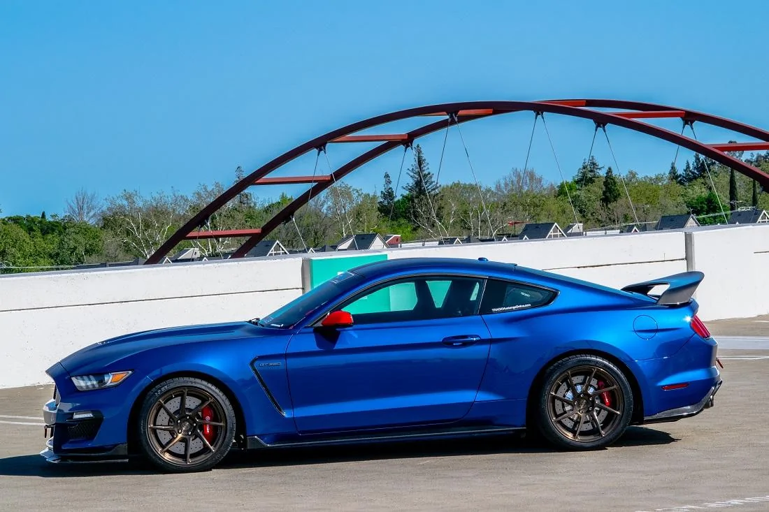 Full Carbon GT350R (5 of 7).webp