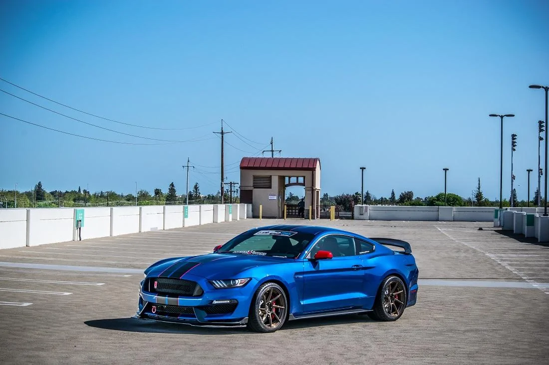 Full Carbon GT350R (6 of 7).webp