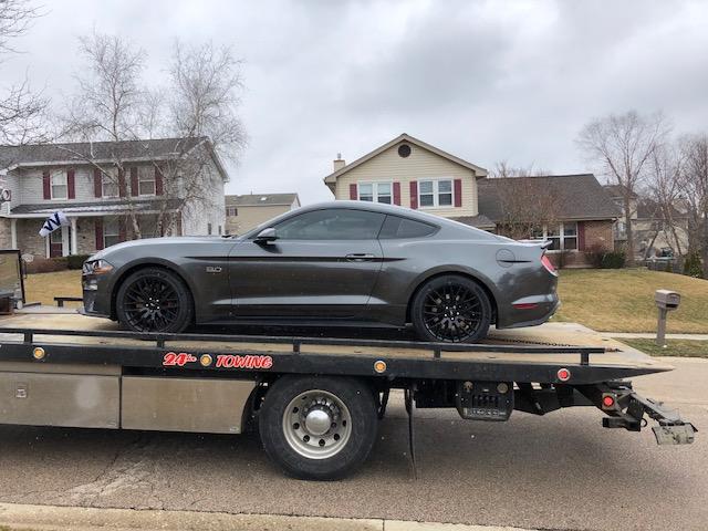 bad day mustang.jpg