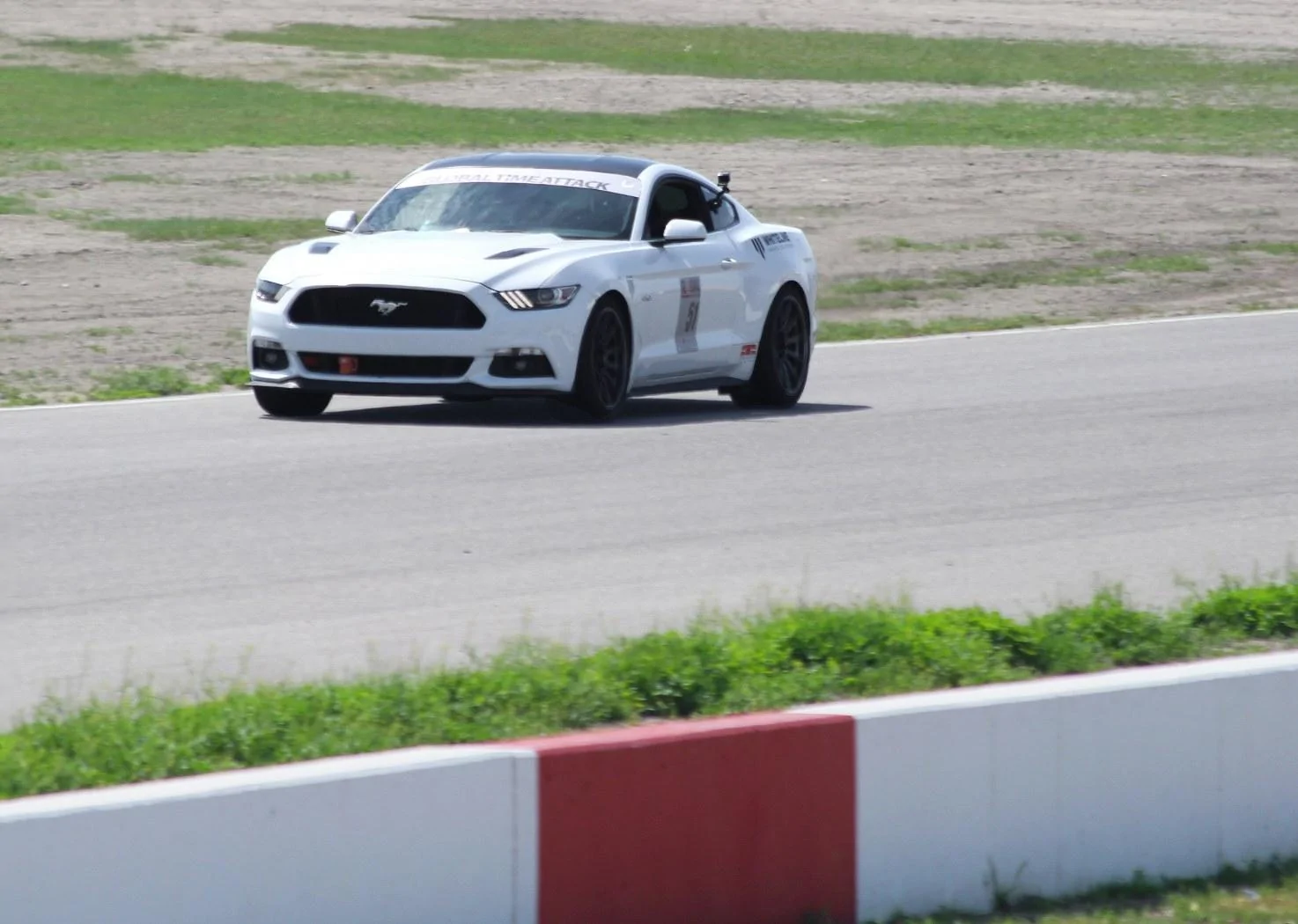 PSIMG_2839_1474x1050.webp