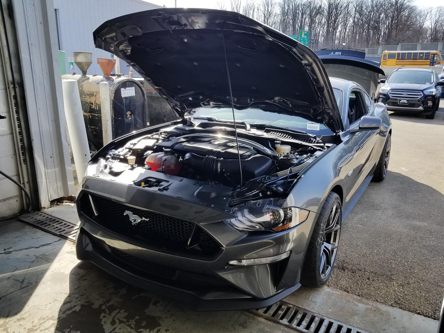 20180412_165306.jpg