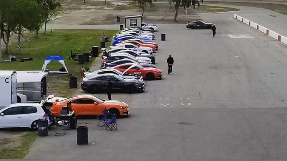 paddock.webp