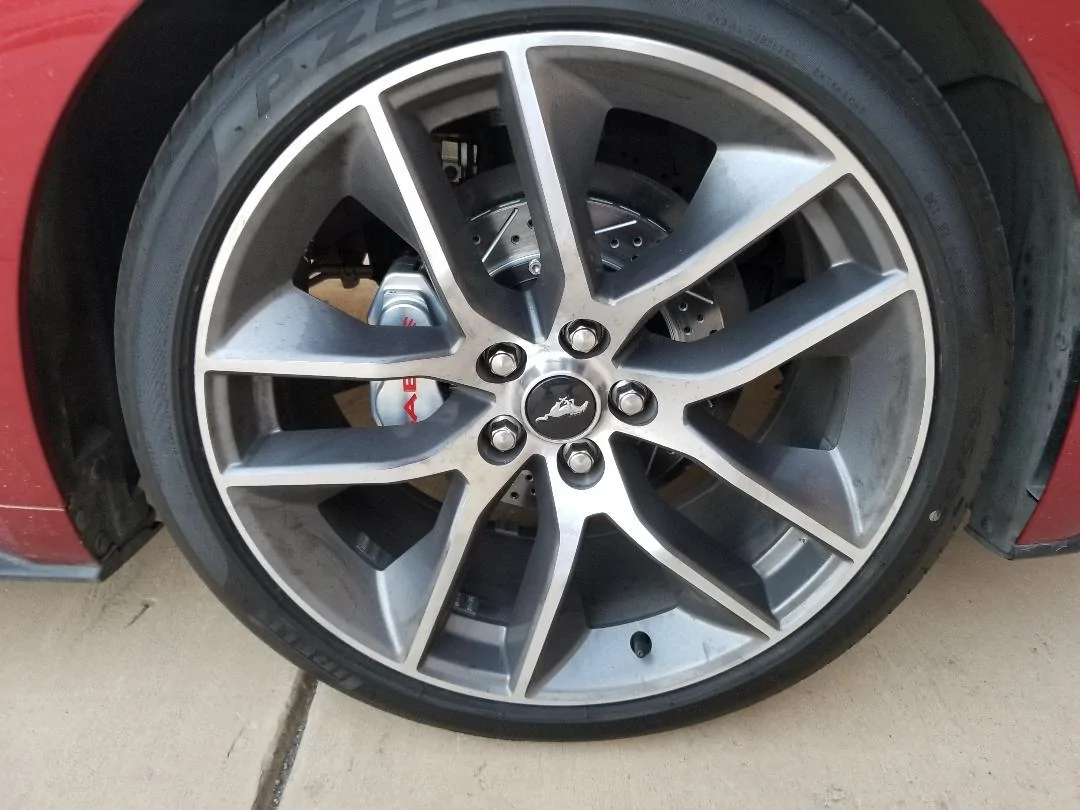 front_baer.webp