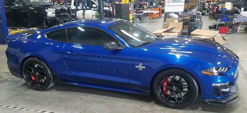2018 Super Snake normal body 1 (2).jpg