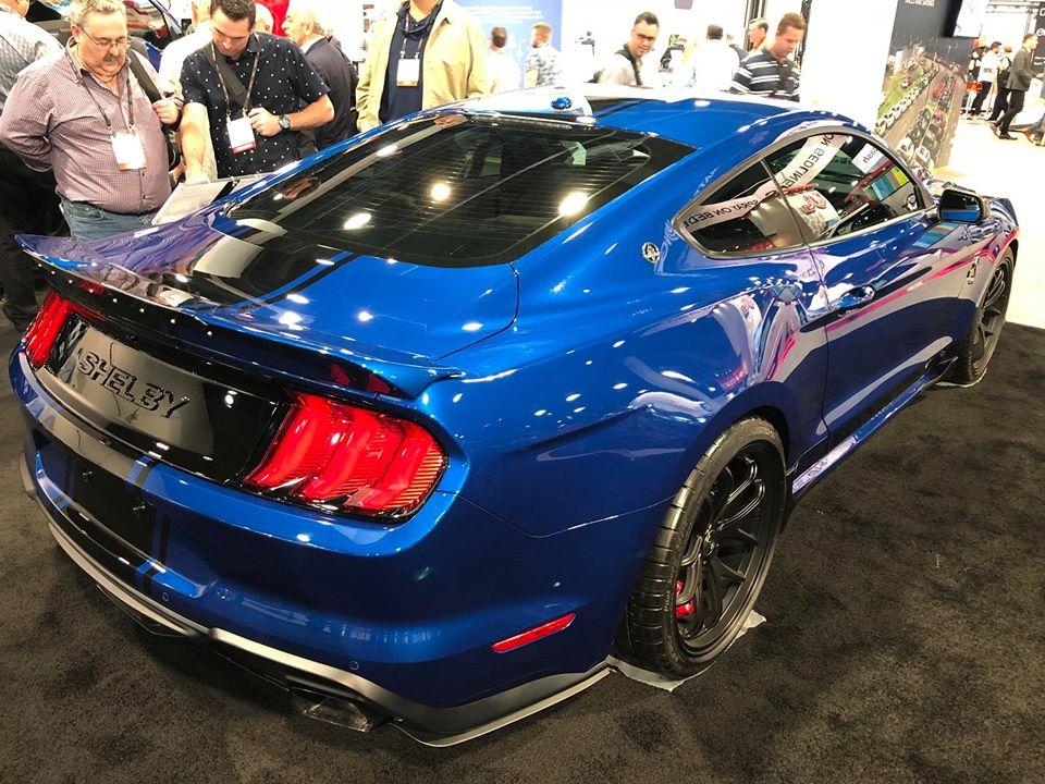 2018 Super Snake normal body 4.jpg