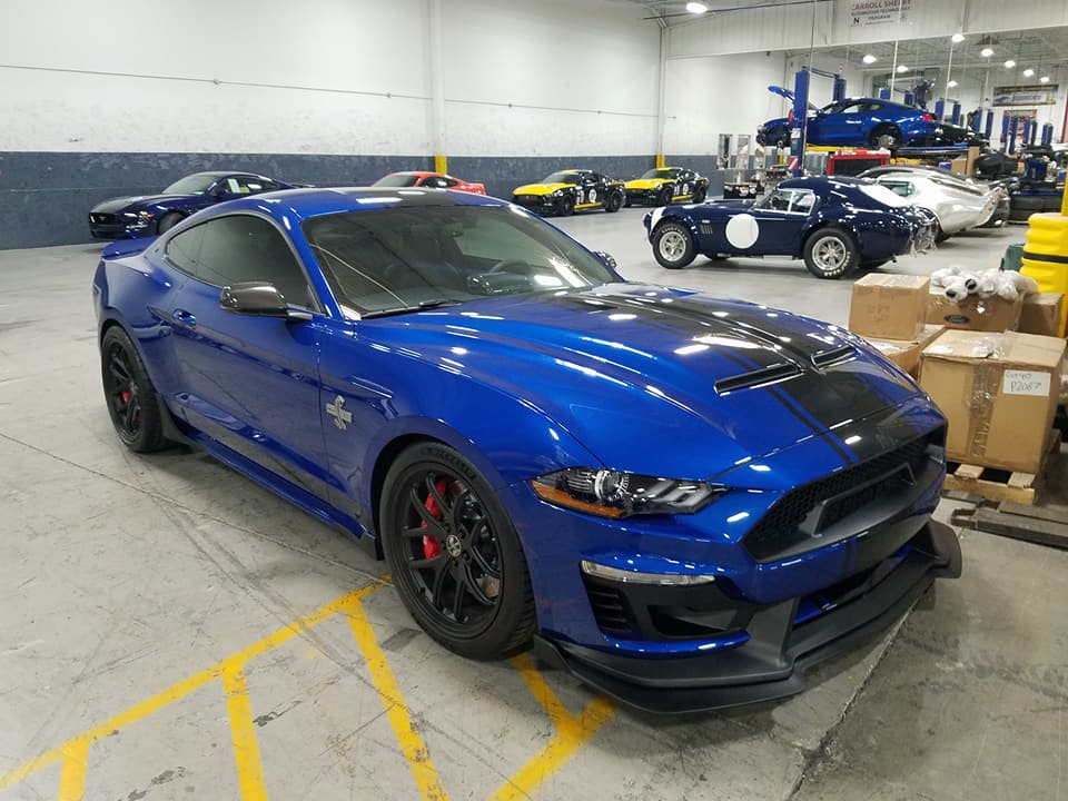 2018 Super Snake normal body 5.jpg