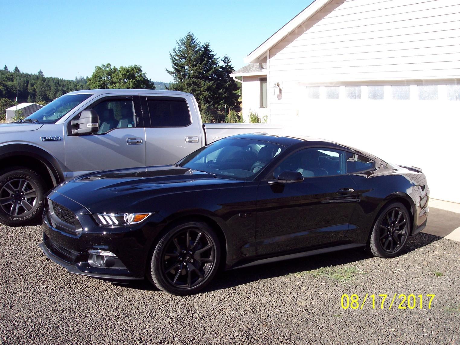 MUSTANG 1.jpg