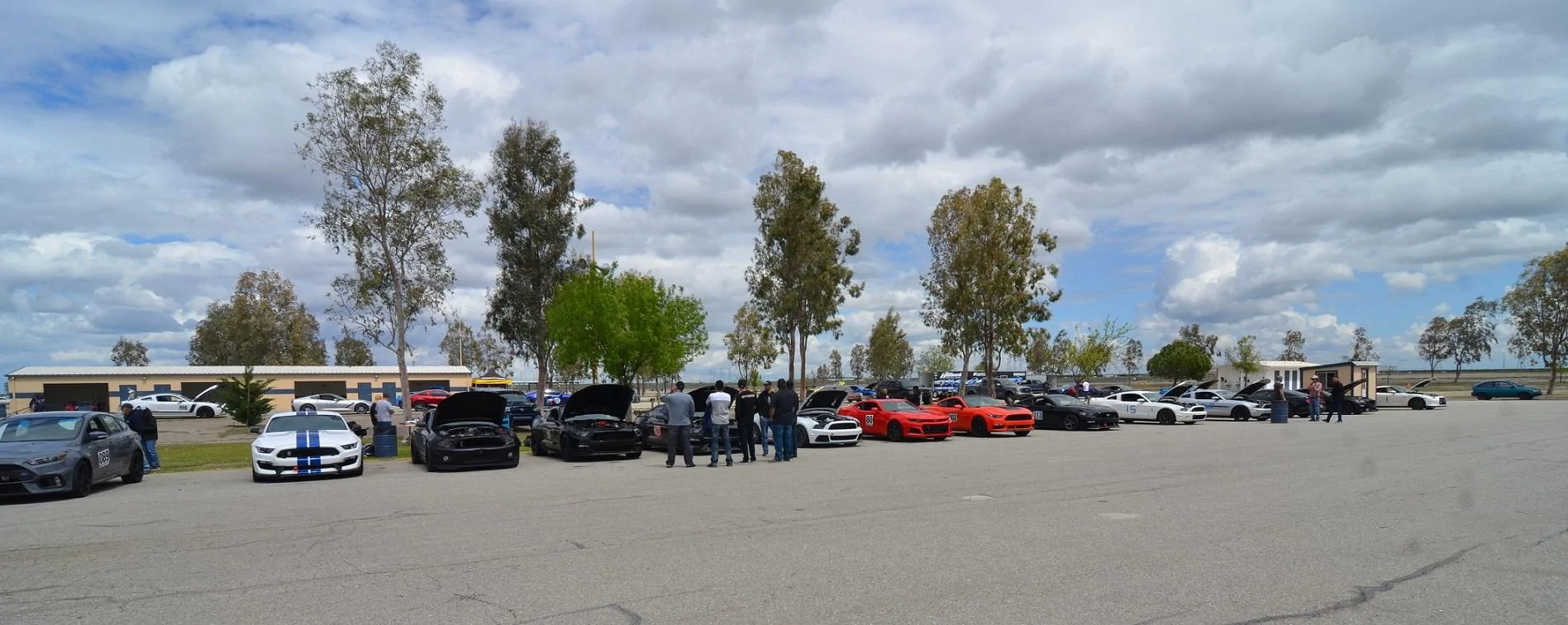 DSC_5407_crop_.webp