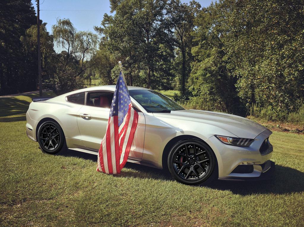 grey stang.jpg