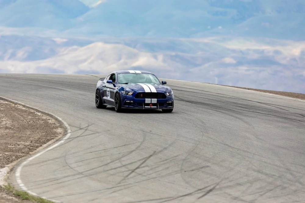Buttonwillow M6G 4.webp