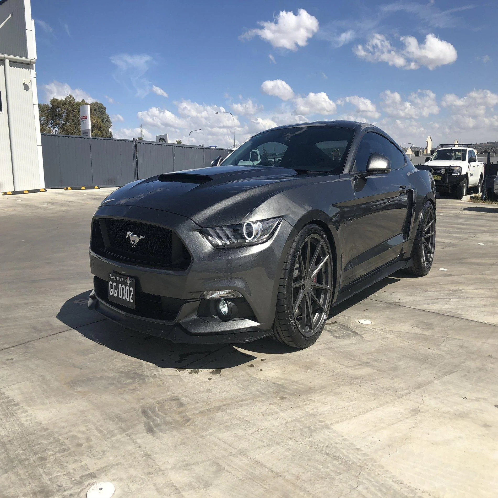 rsz_pony.webp