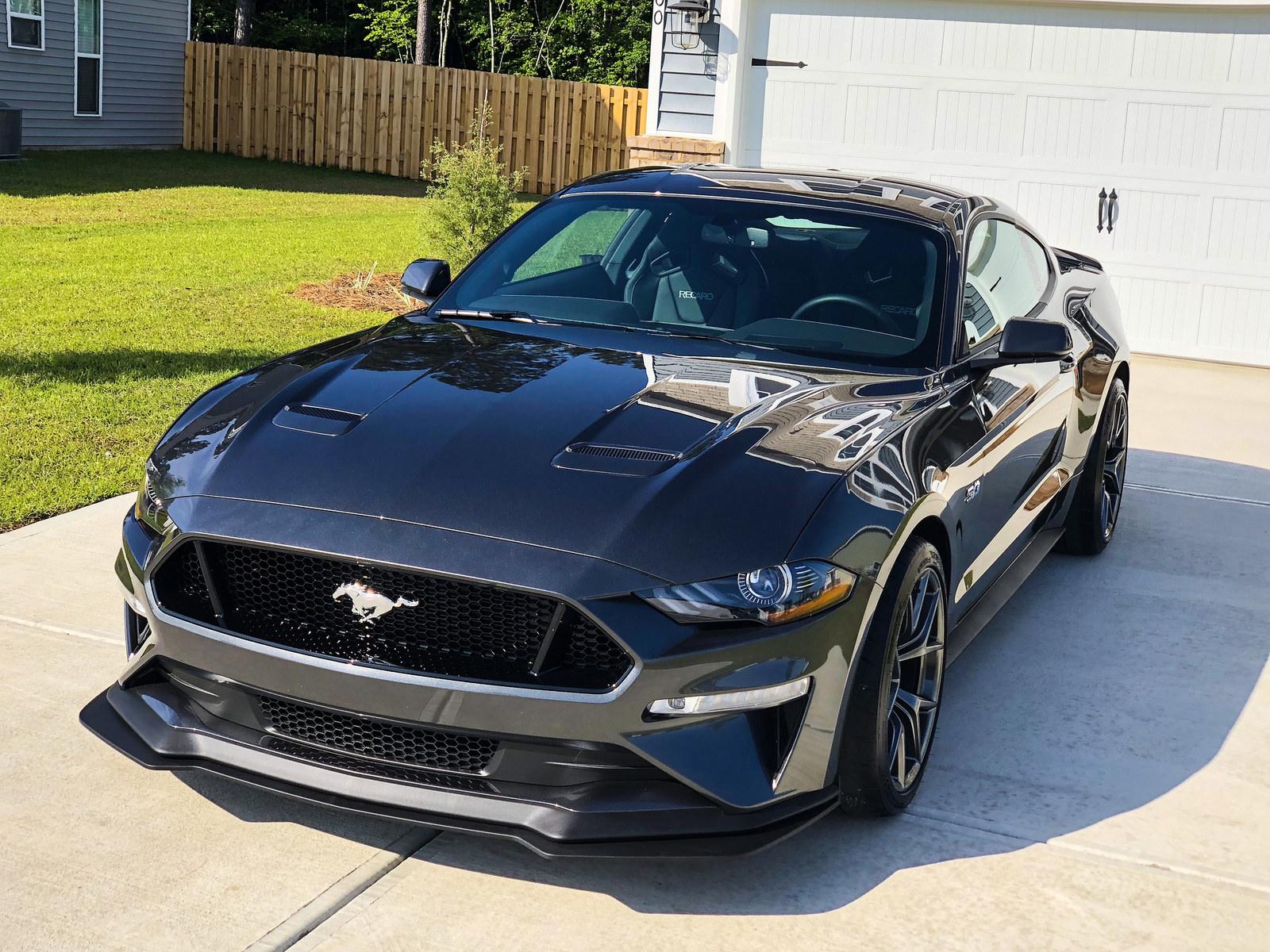 Mustang 1.jpg