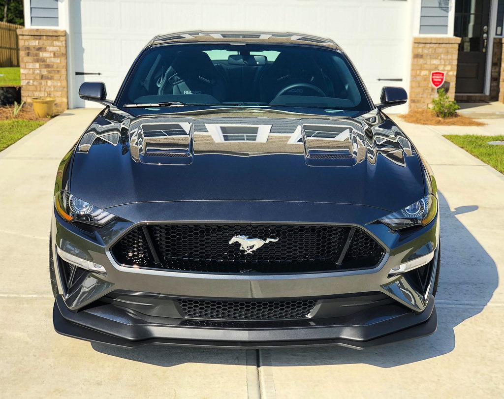 Mustang 2.jpg