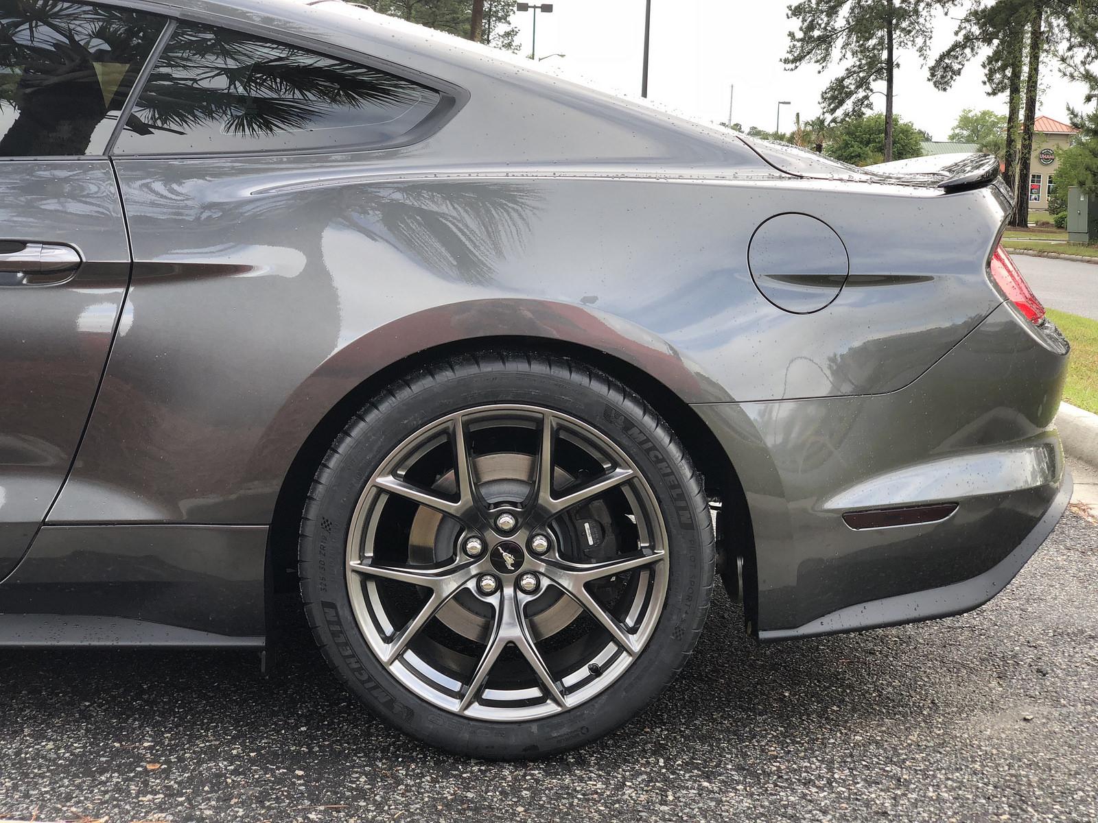 Mustang 3.jpg