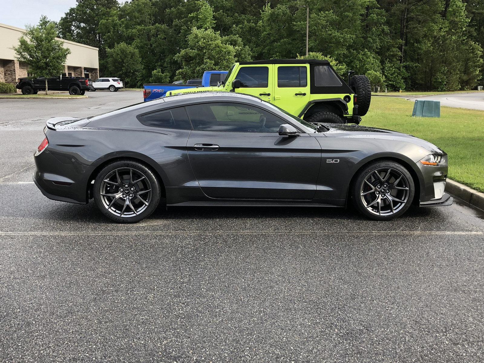 Mustang 4.jpg