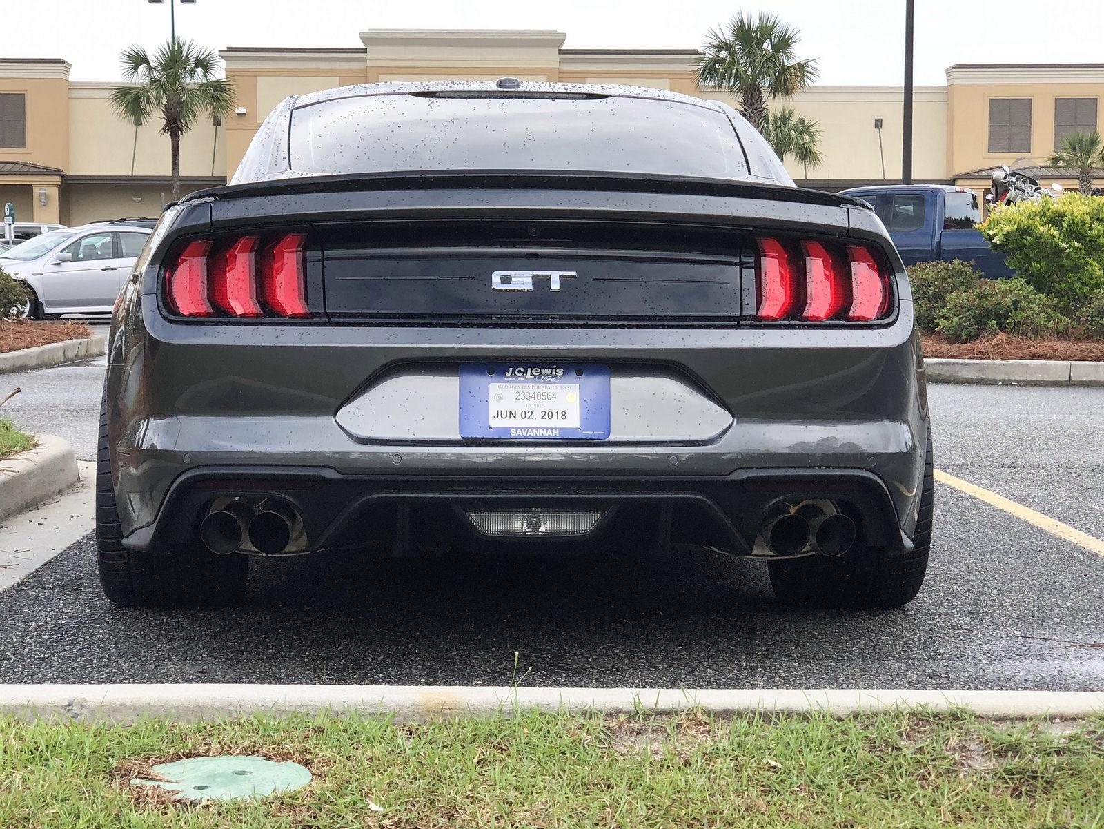 Mustang 5.jpg