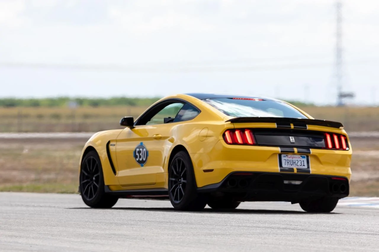 Scott-Full Res ButtonWillow Edited-5_small.webp