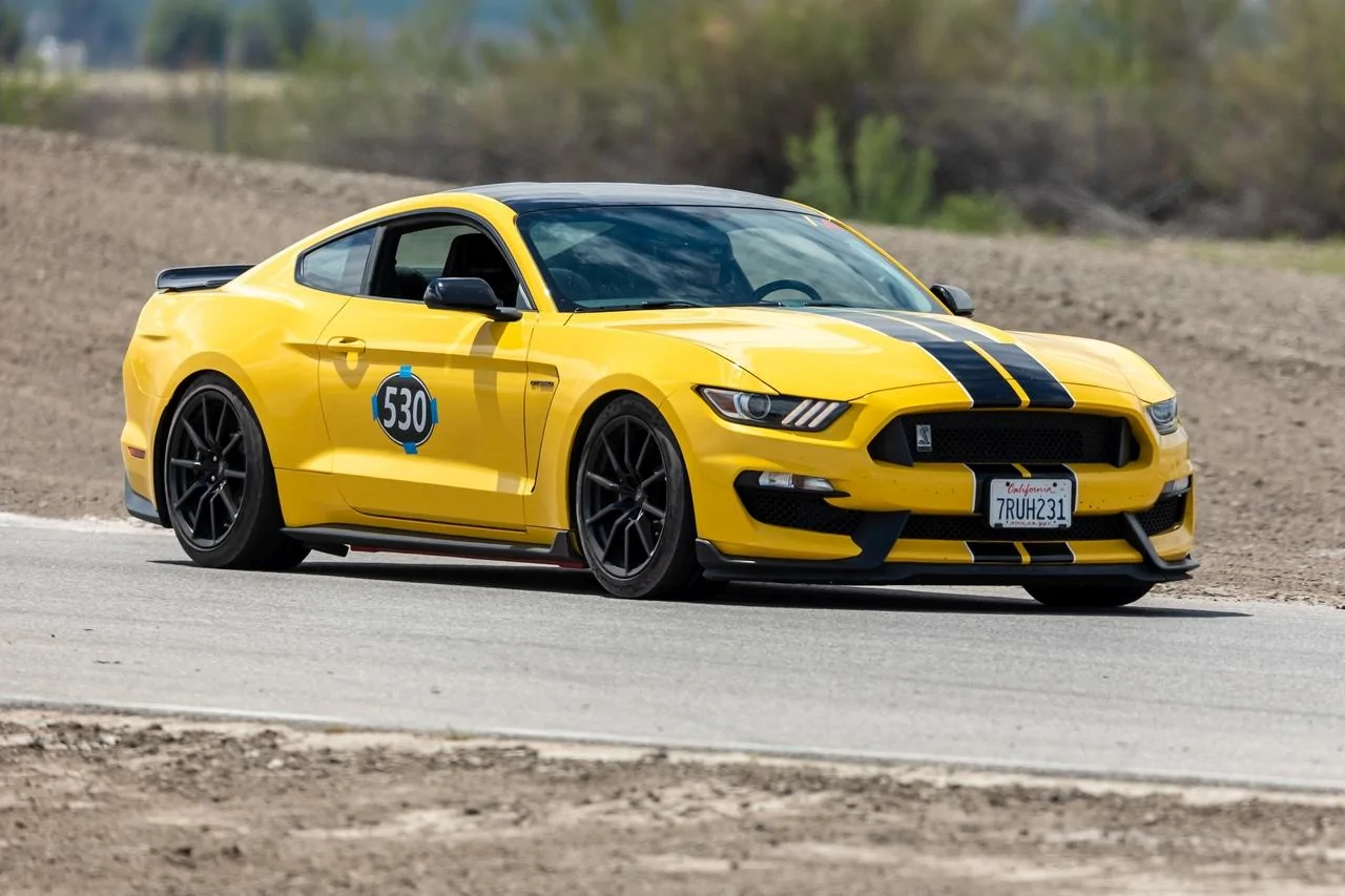 Scott-Full Res ButtonWillow Edited-10_small.webp