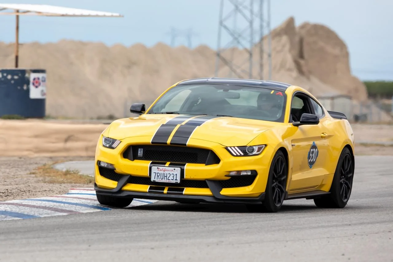Scott-Full Res ButtonWillow Edited-14_small.webp