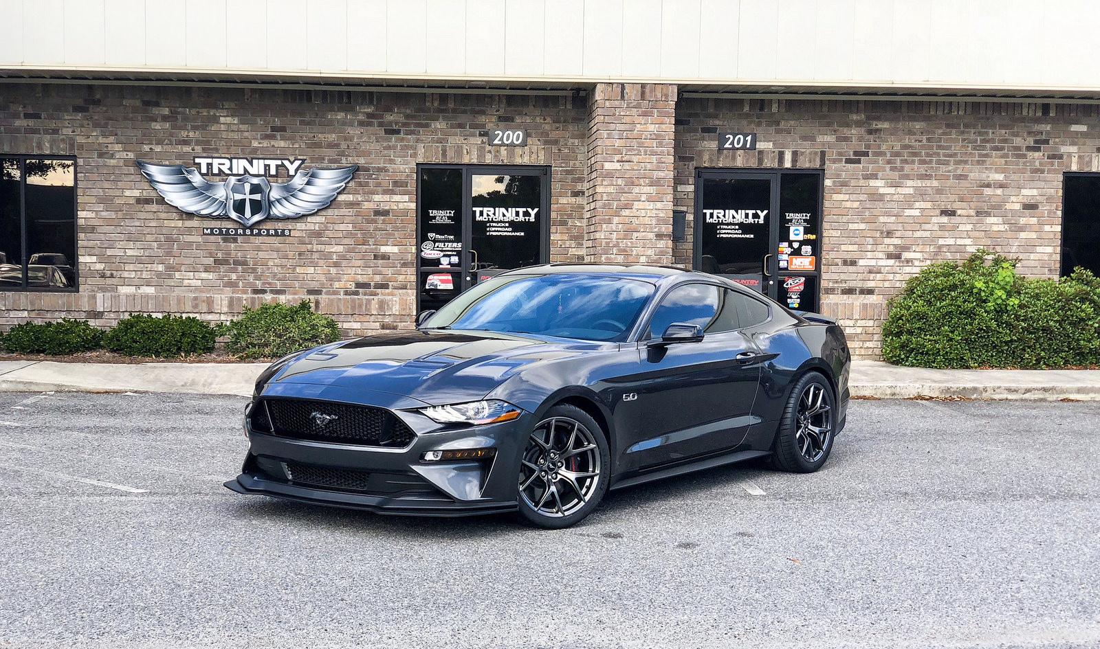 Mustang 8.jpg