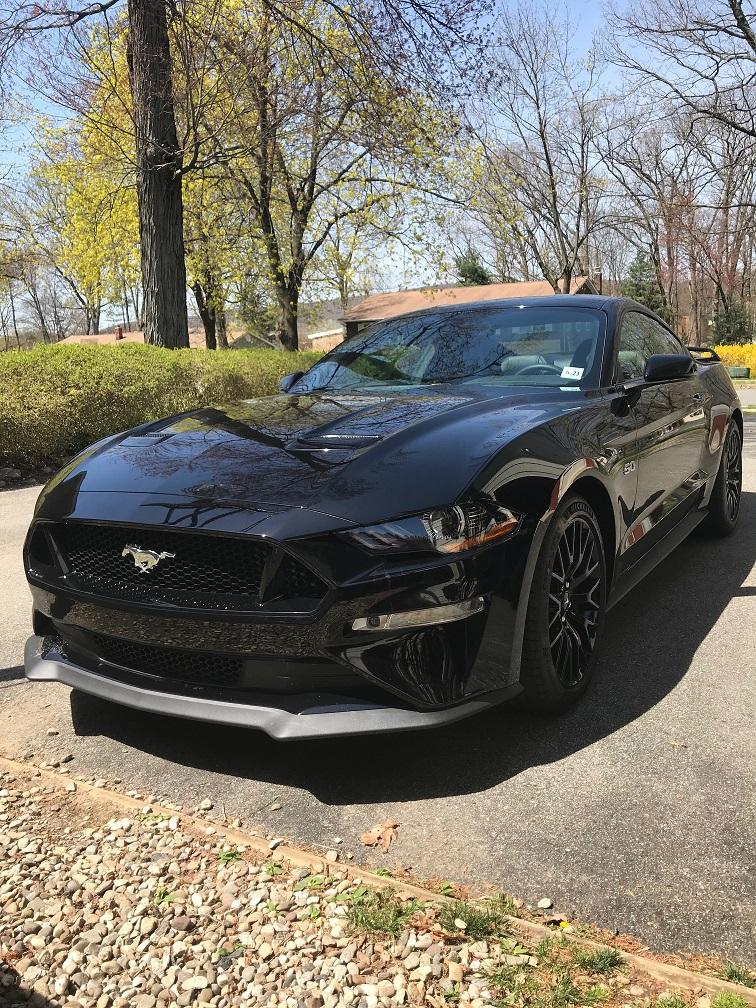stang1.jpg